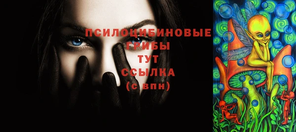 индика Верхнеуральск