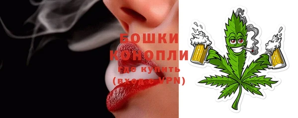 индика Верхнеуральск