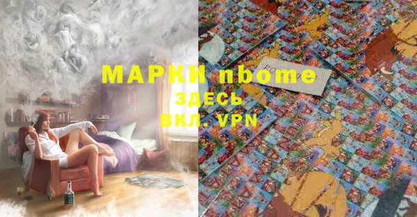 индика Верхнеуральск