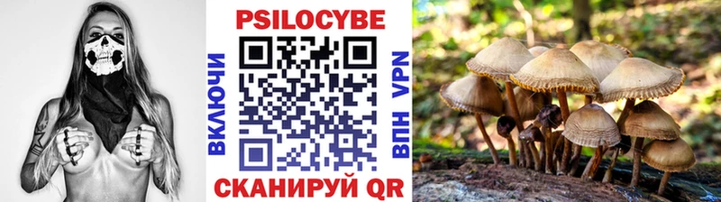 Псилоцибиновые грибы Psilocybe  Выкса 